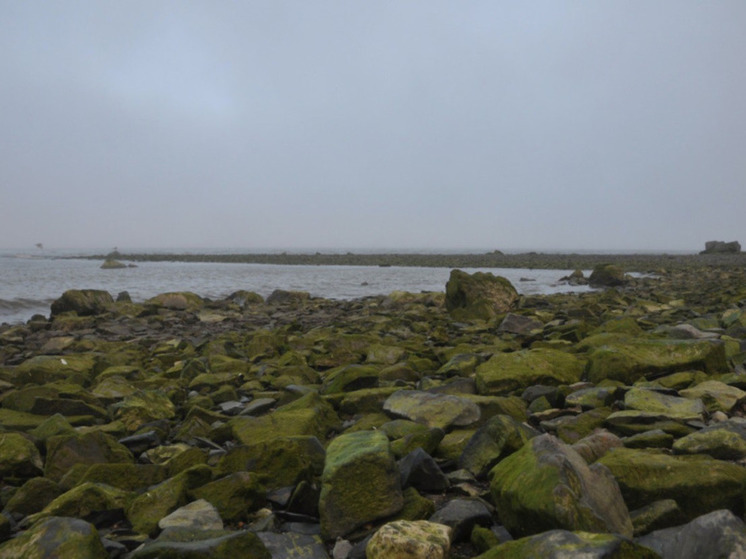 Ветер до 27 м/с ожидается на побережье Берингова пролива в среду