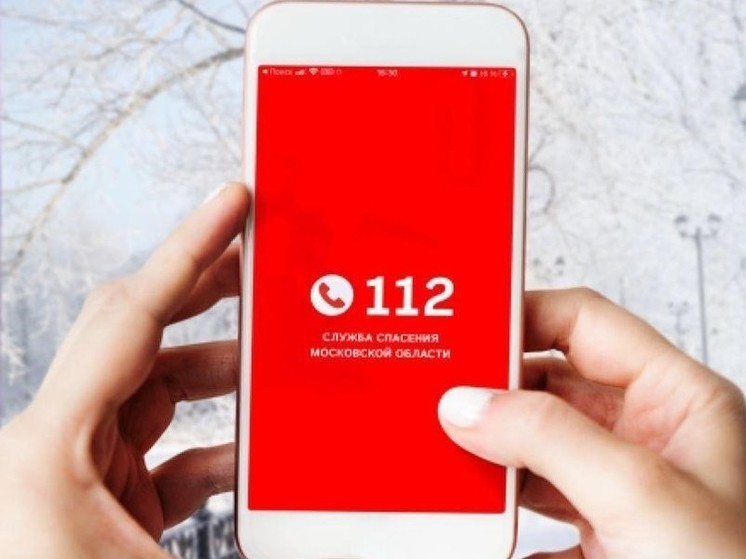 Приложение системы 112 поможет отследить местоположение ребенка в Подмосковье