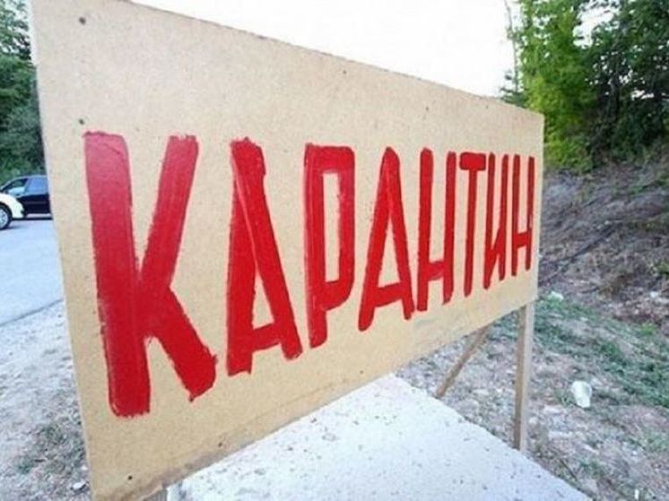 В одной из деревень Башкирии ввели карантин по бешенству животных