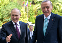 О чем президенты России и Турции могли говорить на закрытой части встречи в Сочи

