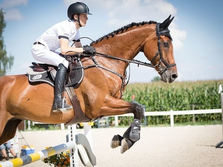 Конники Макеевки получили подарки из Югры