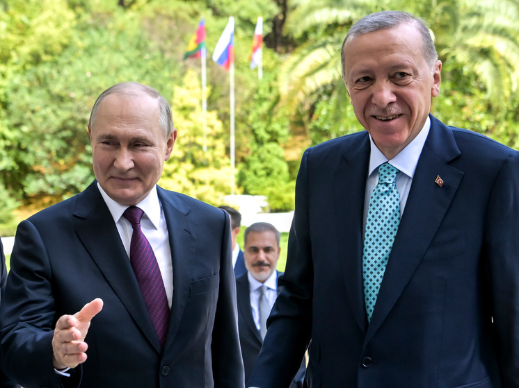 О чем президенты России и Турции могли говорить на закрытой части встречи в Сочи