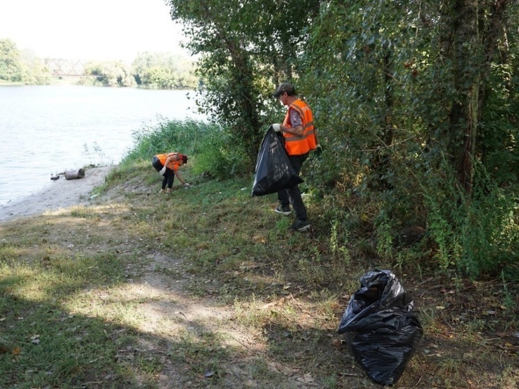 В Белгороде очистили от мусора берег Северского Донца