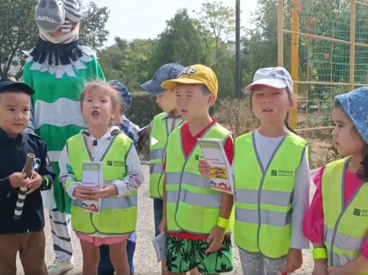 В столице Калмыкии дети призвали взрослых соблюдать ПДД