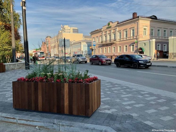 В центре Перми установят более 80 кадок с многолетними растениями