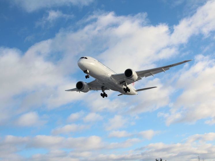 Появилось видео салона самолета, развернувшегося из-за пассажира с диареей