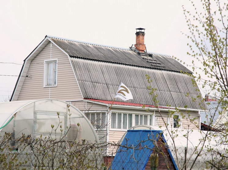 24 тысячи неиспользуемых дачных участков выявили в Московской области