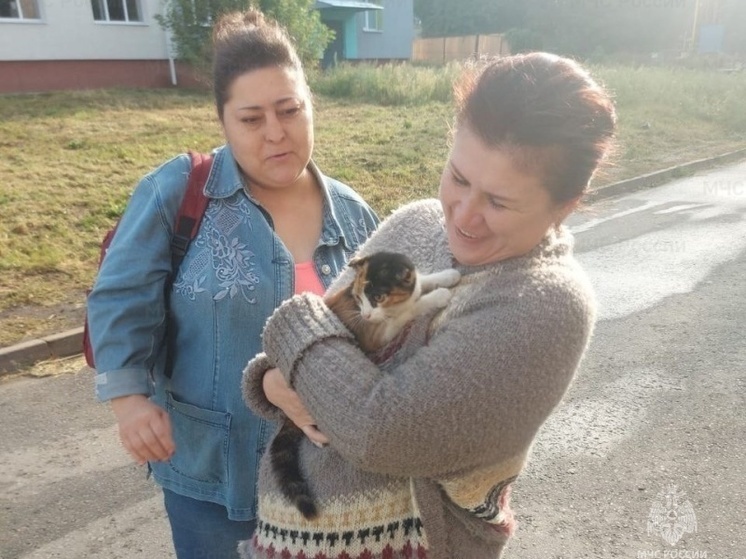 Белгородские пожарные спасли застрявшего в пружине автомобиля кота