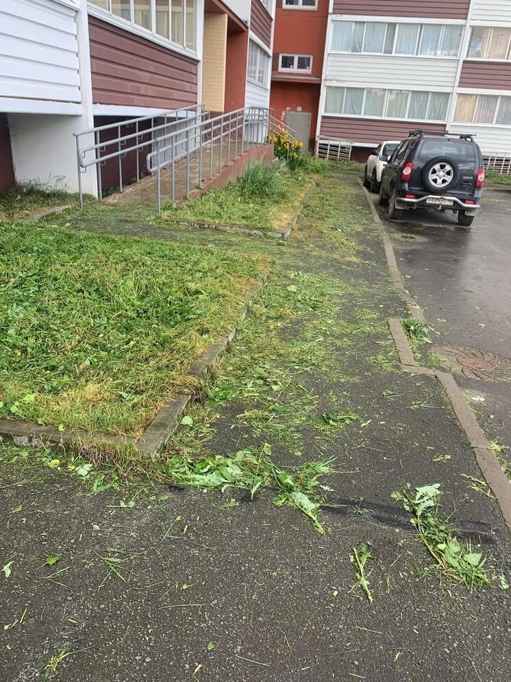 Коммунальщики осенью скосили траву во дворе Петрозаводска и удивили жильцов