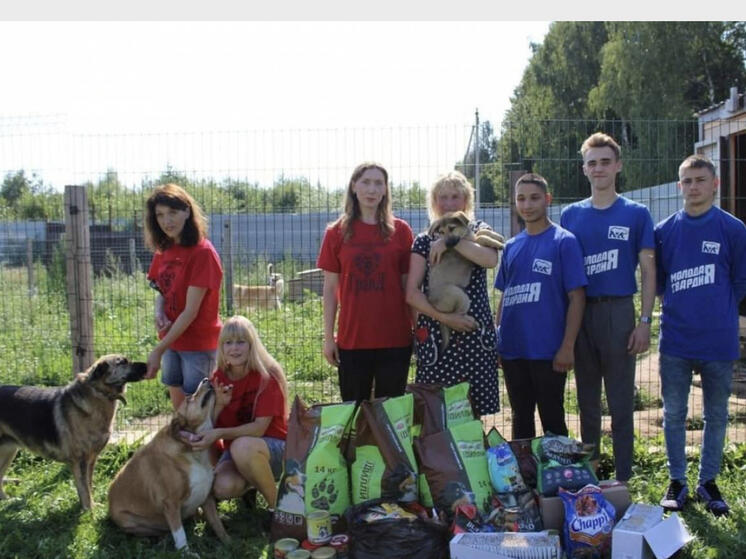 Смоляне передали более 100 кг корма в приюты для кошек и собак