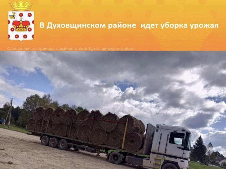 В Духовщинском районе уборка урожая идет полным ходом