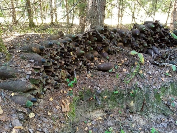 Под Дорогобужем обезвредили 338 взрывоопасных предметов времен войны