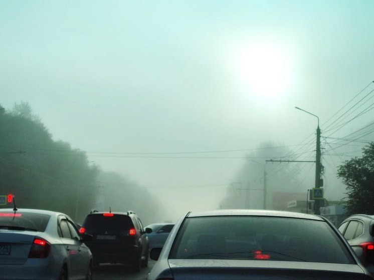 Плотный туман окутал несколько городов Челябинской области