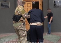 Как сообщили в УФСБ России по Хабаровскому краю, подозреваемый перечислял деньги одному из формирований Вооруженных сил Украины для приобретения оружия, боеприпасов и беспилотников