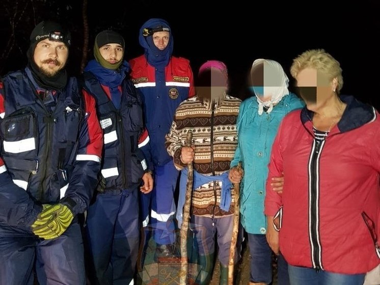Под Волосово спасатели вывели из леса трех пенсионерок