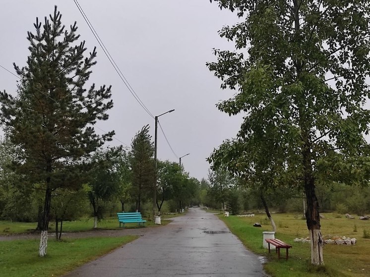 «Сад гордости» в память о героях СВО хотят создать на мемориале в Чите