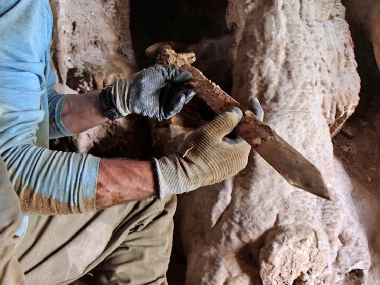 В израильской пещере нашли четыре римских меча: «Это мечта»