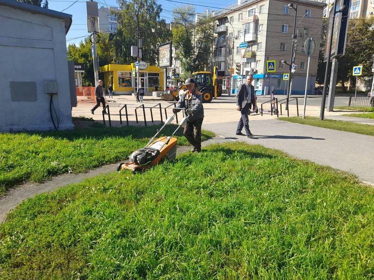 Звонок аллергика из Саратова заставил мэрию взяться за газонокосилки