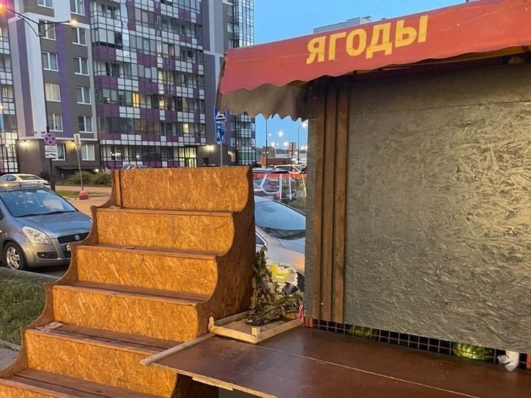 Прокуратура добилась сноса трех торговых павильонов в Заневском поселении