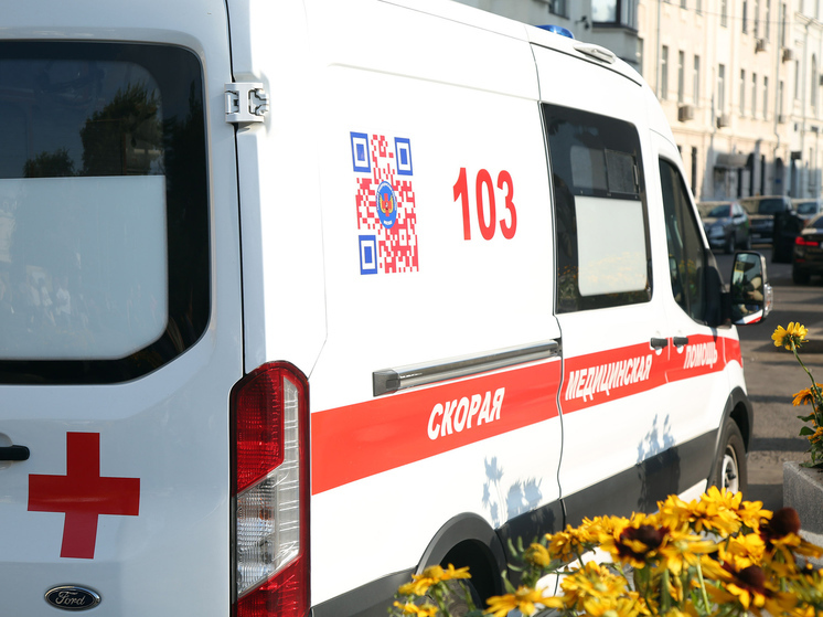 В Подмосковье четвероклассник разбил голову на уроке физкультуры