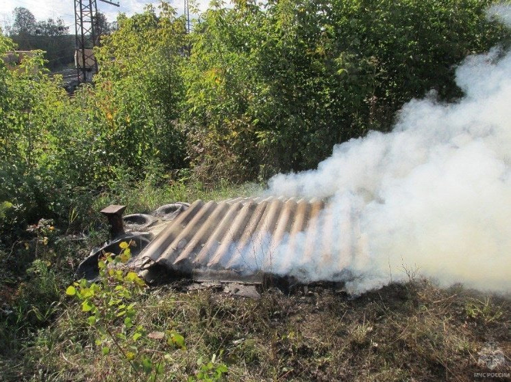 Пожар в овощной яме произошел в Кезу