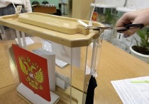Жительница Белгородской области рассказала в соцсети, что ее сына, умершего пять лет назад, пригласили на выборы