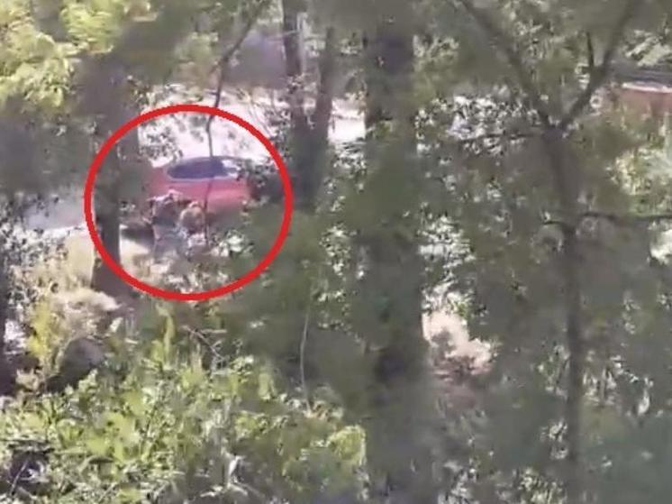 На улице Магистральной в Рязани заметили ворующего щебень мужчину