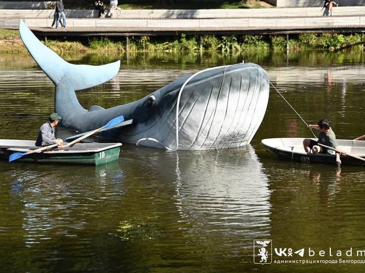 На реке Везелке в парке Победы появился огромный синий кит