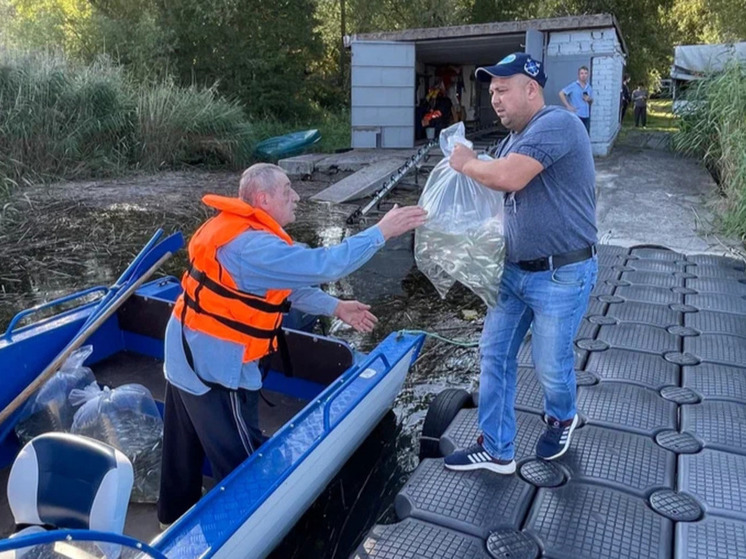  В Куршский залив выпустили 9 тысяч мальков сига