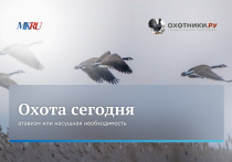 

В четверг, 22 июня, в 11:00 прошел эксклюзивный прямой эфир из пресс-центра МК, посвященный охоте в России