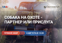 В четверг, 4 августа, в 13:00 прошел эксклюзивный прямой эфир Вконтакте из пресс-центра МК, посвященный охотничьим собакам