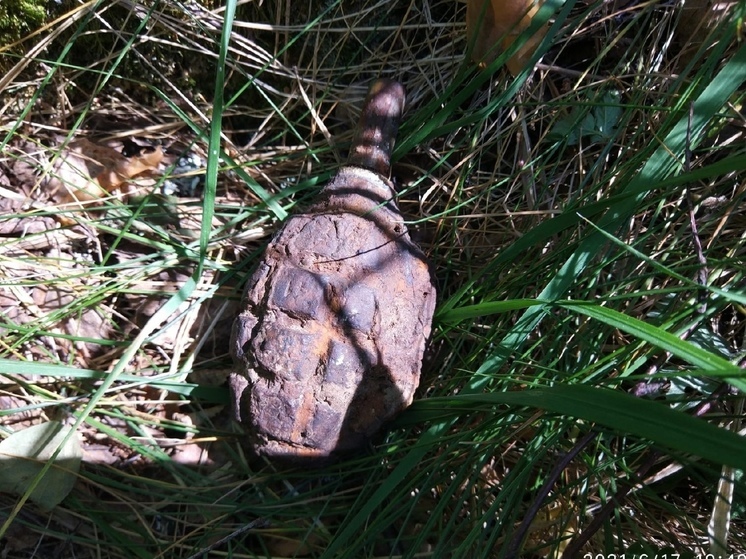 В Ярцевском районе нашли три гранаты Ф-1