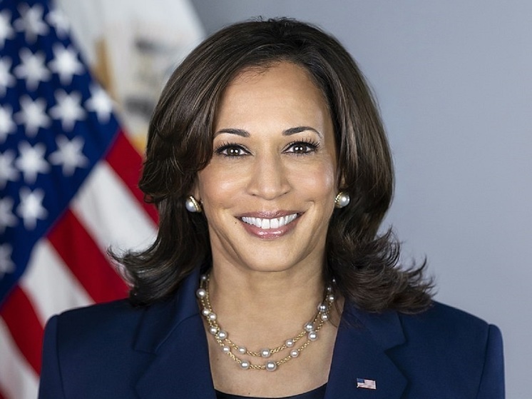 «Да, если, но»: вице-президент США готова занять место Байдена