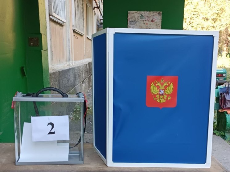 В ДНР завершилось досрочное голосование