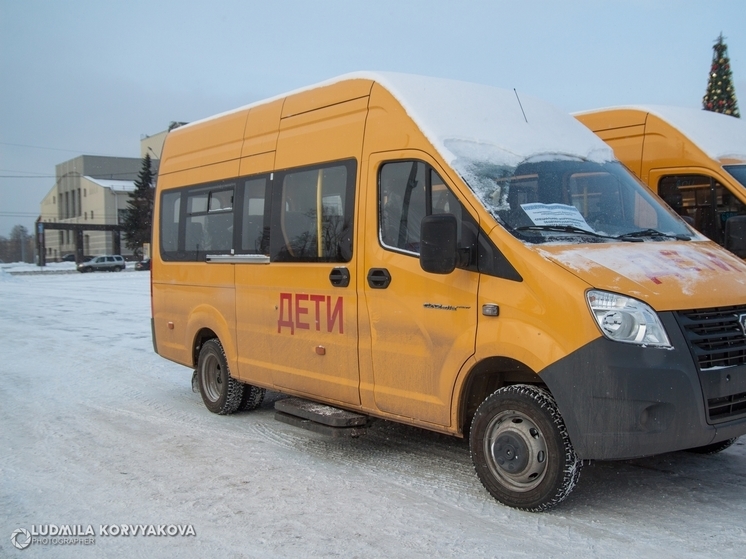 Жители Ряймяля: проблемы с подвозом детей в школу существует не первый год