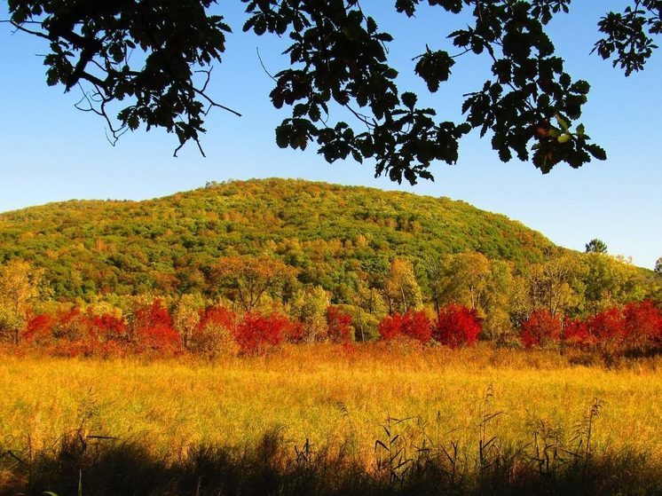 Национальному парку Хабаровского края присвоили новое имя