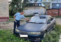 В Хабаровске с небольшой периодичностью проходят рейды по выявлению нарушителей правил благоустройства
