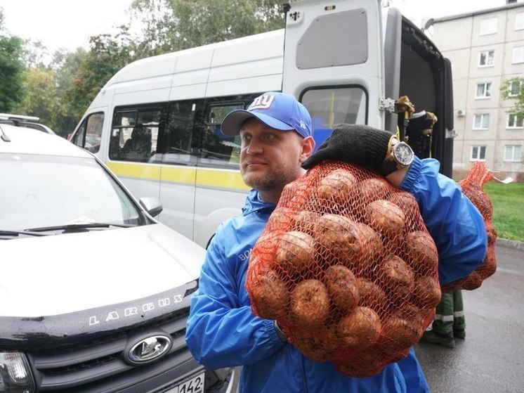 В кузбасском правительстве рассказали, кто может претендовать на бесплатные овощные наборы