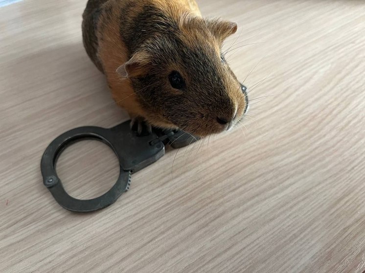 Похитителя канализационных люков разыскивают в Комсомольске-на-Амуре