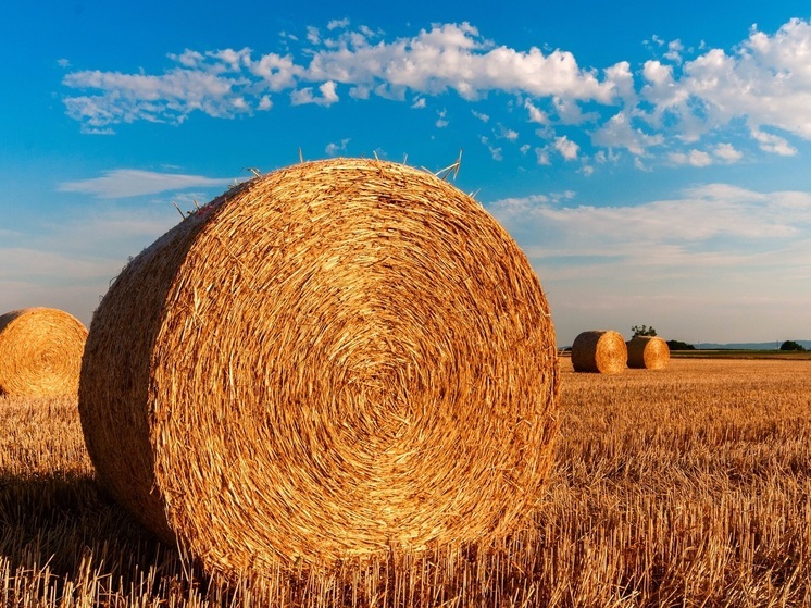 В Якутии выполнили 97 % от плана заготовки сена