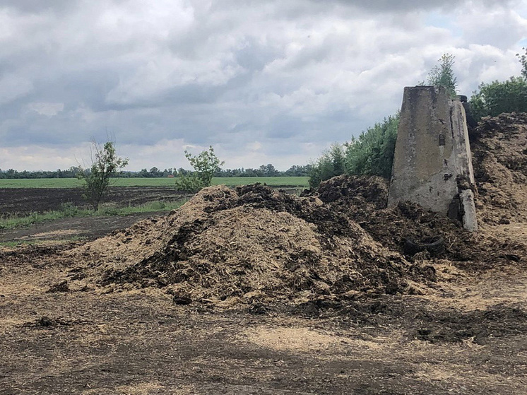 В Курской области пресечено нарушение природоохранного законодательства