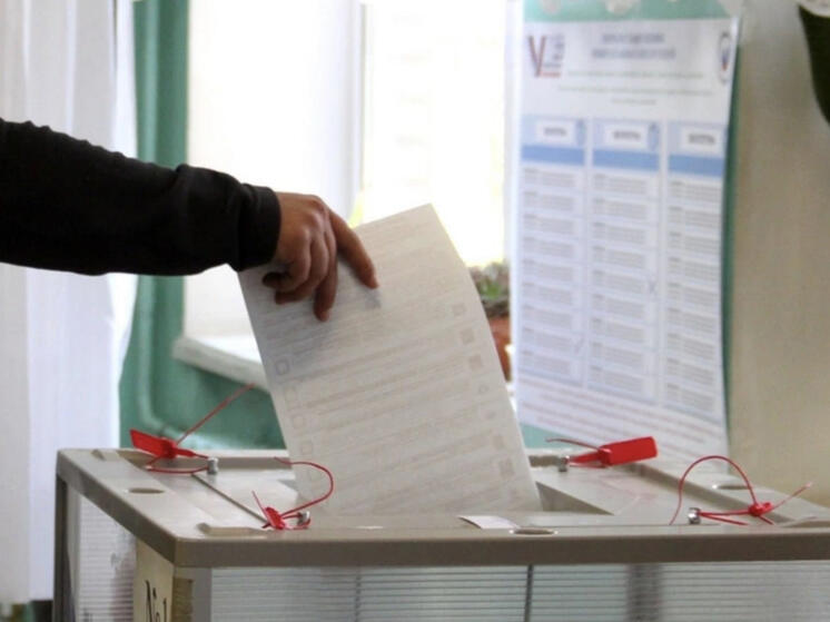 Смоляне могут сделать свой выбор