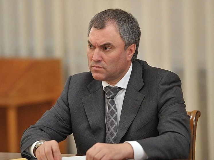 Вячеслав Володин проголосовал на выборах мэра Москвы