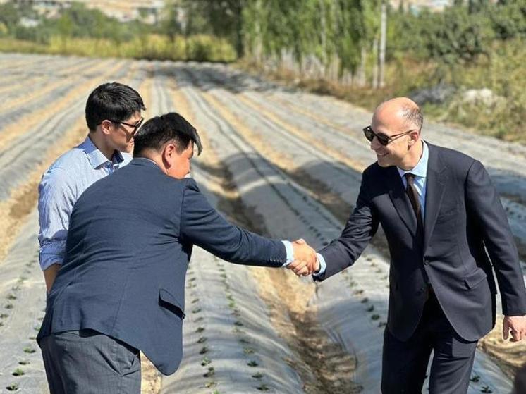Юг Кыргызстана удвоит мощности складских помещений при поддержке США