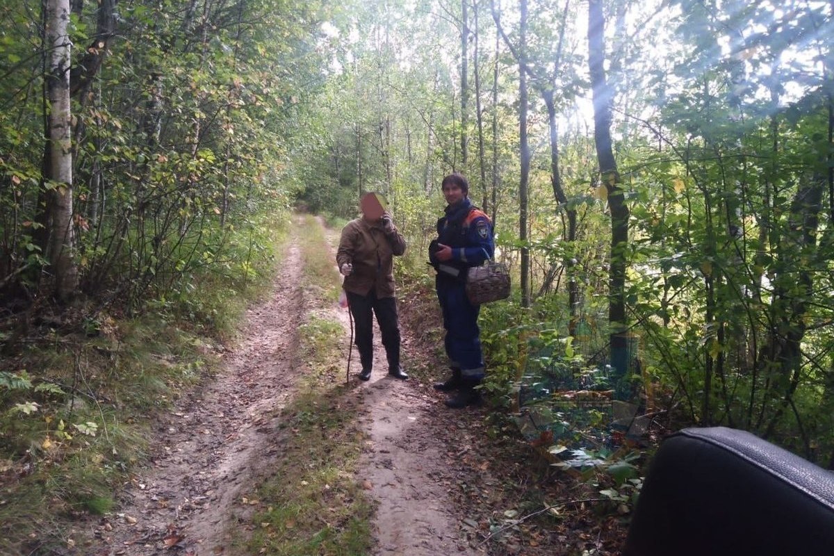 Спасатели эвакуировали женщину с травмой из леса около Ульяновки