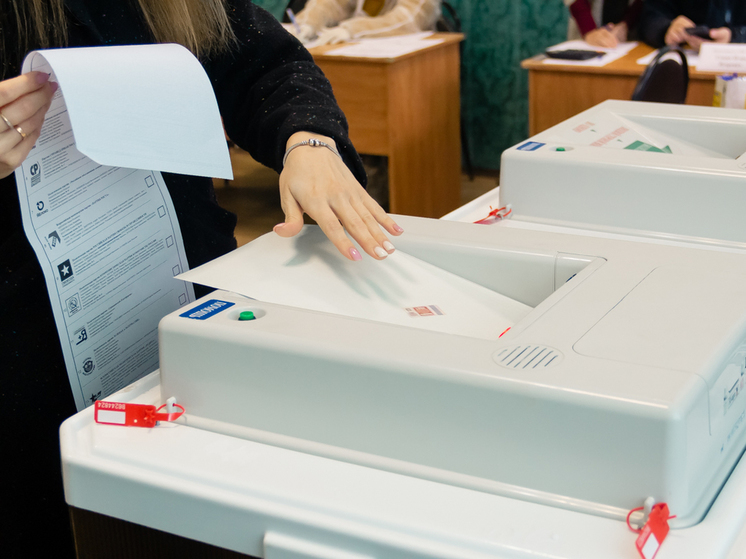 Председатель рязанского избиркома Боков прокомментировал явку на выборах