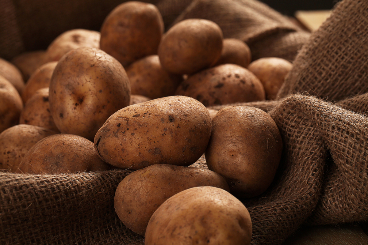 Марийский картофель — один из самых дешевых в европейской части России
