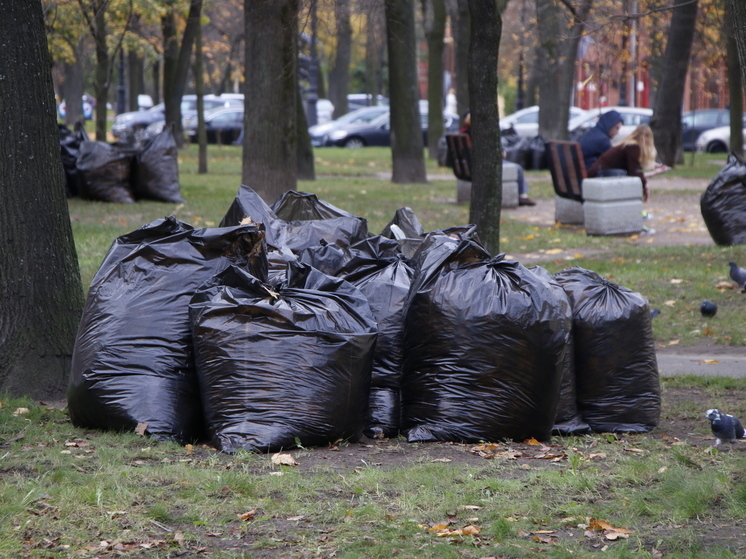 Аккуратно и бесшумно: Петербург меняет мусорную схему