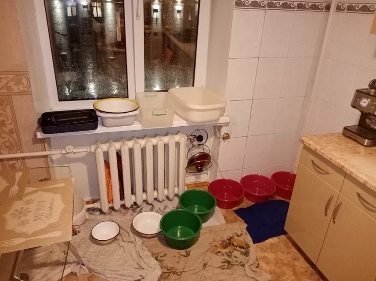 Воронежская семья переехала на съемную квартиру из-за невыносимых условий в доме