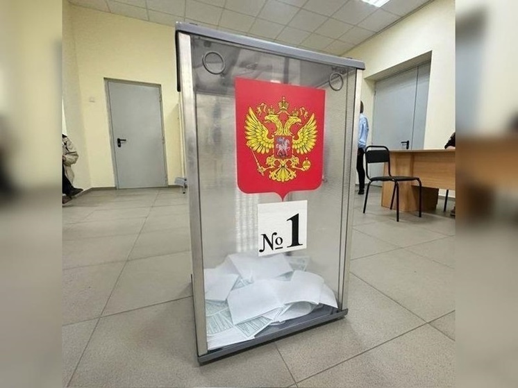 Явка на выборы в Заксобрание Ростовской области превысила 10%